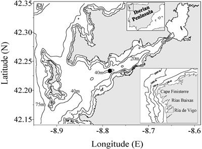 Seasonal Variability in the Microbial Plankton Community in a Semienclosed Bay Affected by Upwelling: The Role of a Nutrient Trap